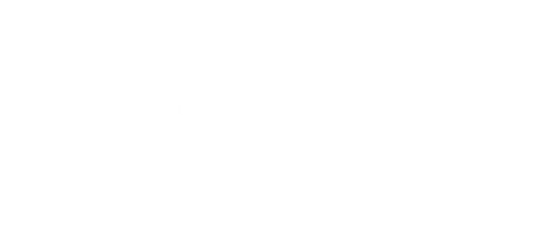 td-securities